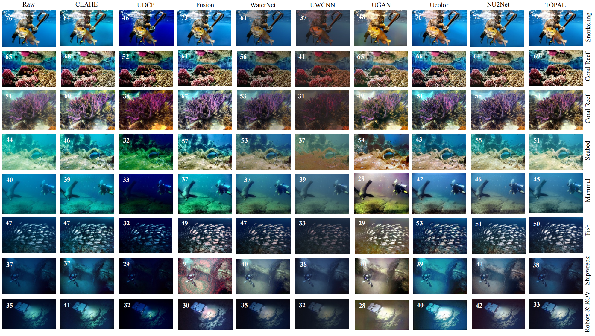 dataset Cover
